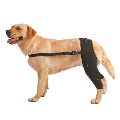 Dog Leg Brace Back Leg Support