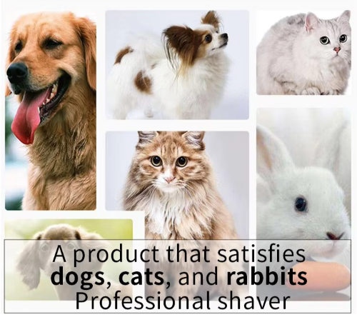 Professional Dog Hair Clipper - Metal Rechargeable Trimmer