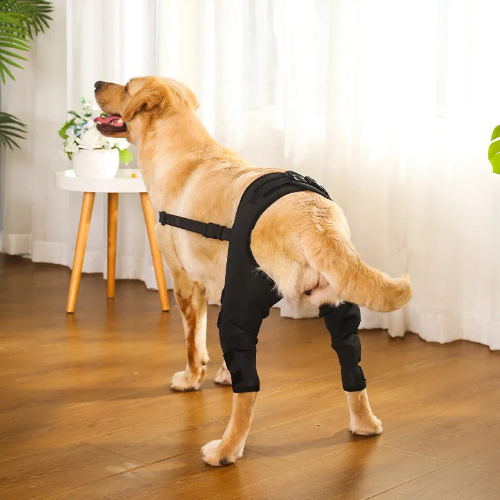 Dog Leg Brace Back Leg Support