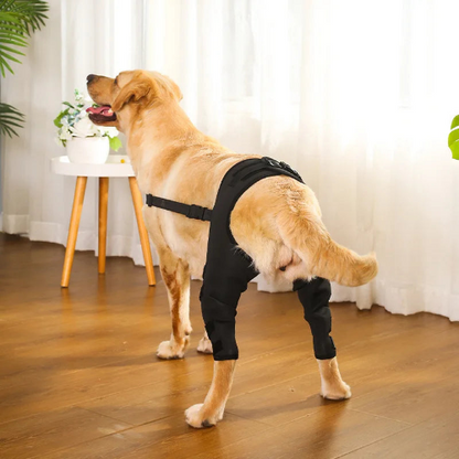 Dog Leg Brace Back Leg Support