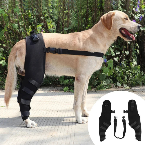 Dog Leg Brace Back Leg Support