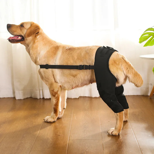 Dog Leg Brace Back Leg Support